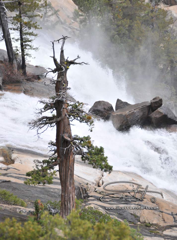 Yosemite Photos This image is available for purchase in print with or without framing, in gallery canvas or digital format. If you are interested, please include the file name(s) in an email. Please just ask...