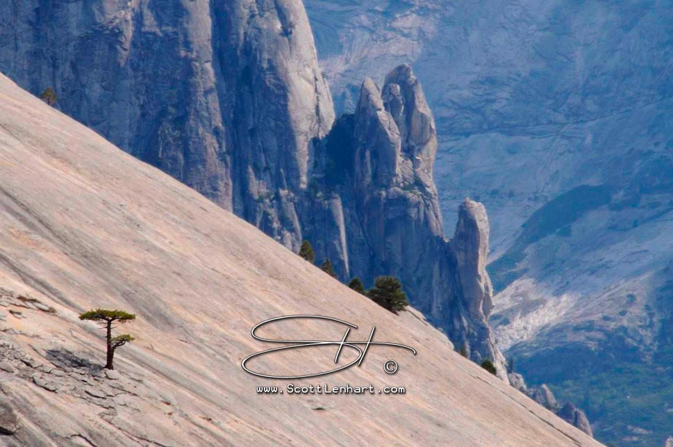 Yosemite Photos This image is available for purchase in print with or without framing, in gallery canvas or digital format. If you are interested, please include the file name(s) in an email. Please just ask...